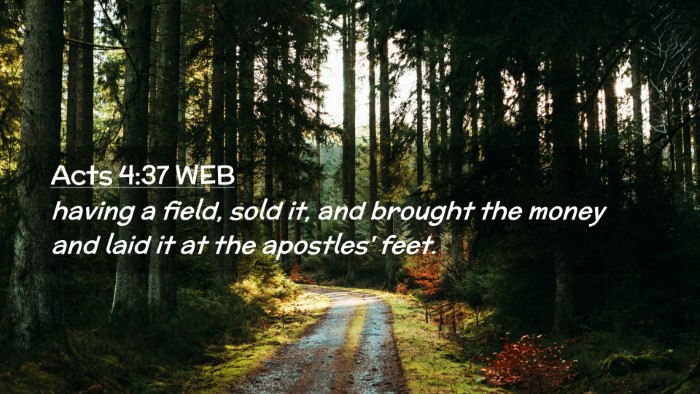 Picture 02 - Acts 4:37 WEB Desktop Wallpaper - having a field, sold it, and brought the money - Desktop Bible Verse Wallpaper