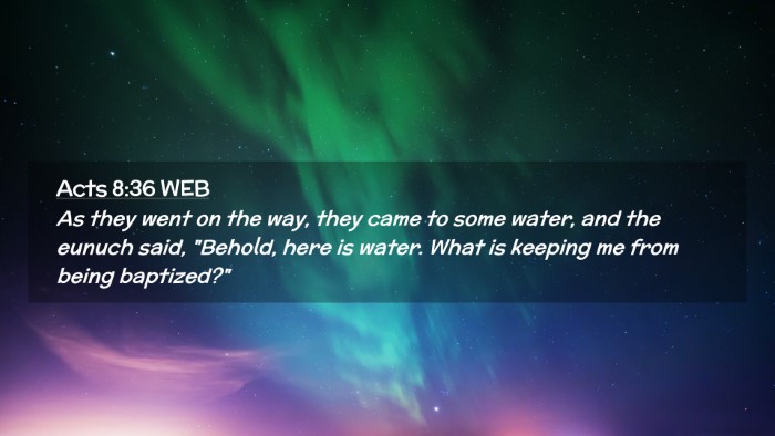 Picture 02 - Acts 8:36 WEB Desktop Wallpaper - As they went on the way, they came to some water, - Desktop Bible Verse Wallpaper