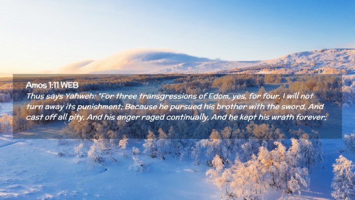 Picture 02 - Amos 1:11 WEB Desktop Wallpaper - Thus says Yahweh: 