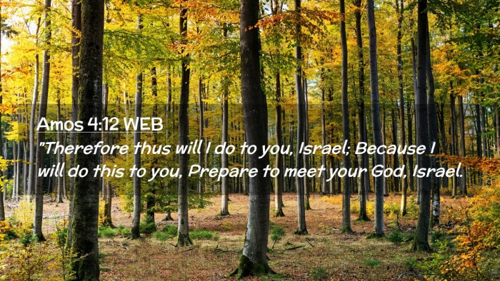 Picture 02 - Amos 4:12 WEB Desktop Wallpaper - 
