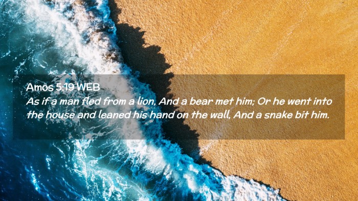 Picture 02 - Amos 5:19 WEB Desktop Wallpaper - As if a man fled from a lion, And a bear met him; - Desktop Bible Verse Wallpaper