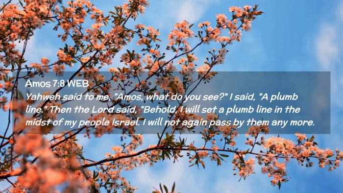 Picture 02 - Amos 7:8 WEB Desktop Wallpaper - Yahweh said to me, 