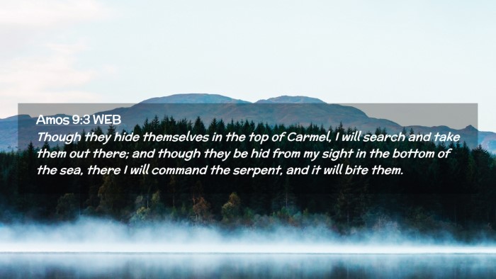 Picture 02 - Amos 9:3 WEB Desktop Wallpaper - Though they hide themselves in the top of Carmel, - Desktop Bible Verse Wallpaper