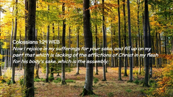 Picture 02 - Colossians 1:24 WEB Desktop Wallpaper - Now I rejoice in my sufferings for your sake, and - Desktop Bible Verse Wallpaper