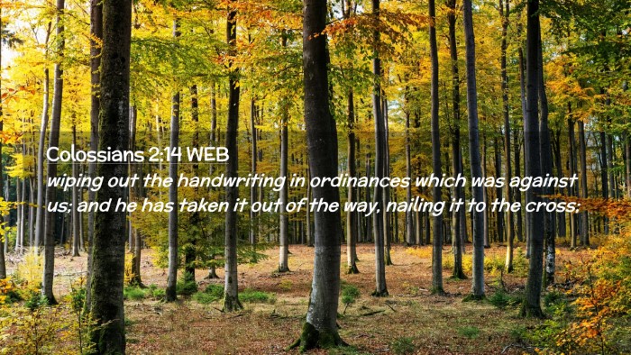 Picture 02 - Colossians 2:14 WEB Desktop Wallpaper - wiping out the handwriting in ordinances which - Desktop Bible Verse Wallpaper