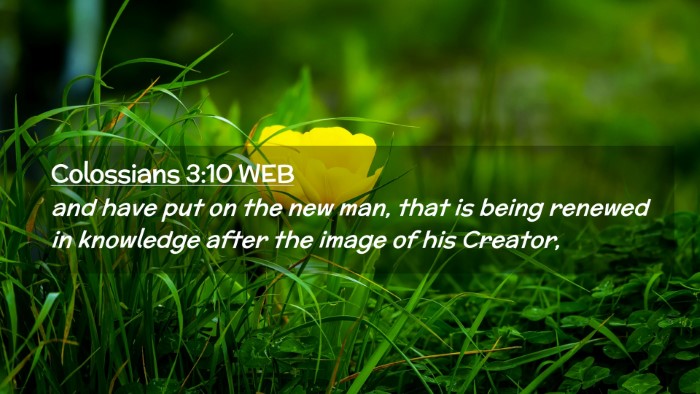 Picture 02 - Colossians 3:10 WEB Desktop Wallpaper - and have put on the new man, that is being - Desktop Bible Verse Wallpaper