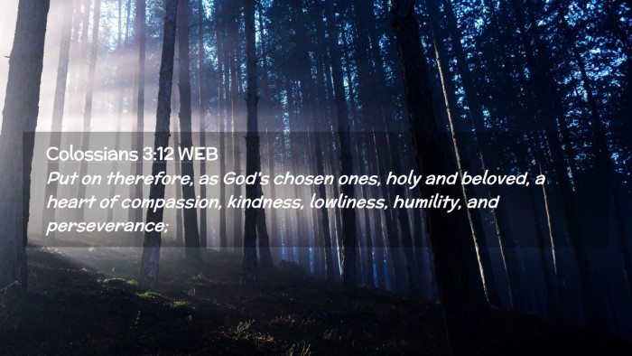 Picture 02 - Colossians 3:12 WEB Desktop Wallpaper - Put on therefore, as God's chosen ones, holy and - Desktop Bible Verse Wallpaper