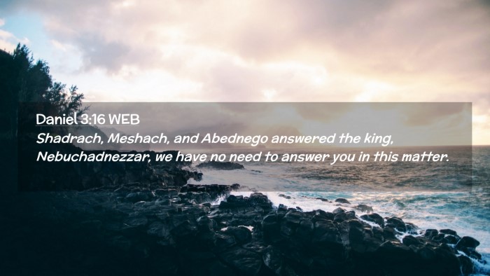 Picture 02 - Daniel 3:16 WEB Desktop Wallpaper - Shadrach, Meshach, and Abednego answered the - Desktop Bible Verse Wallpaper