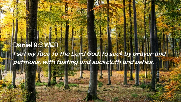 Picture 02 - Daniel 9:3 WEB Desktop Wallpaper - I set my face to the Lord God, to seek by prayer - Desktop Bible Verse Wallpaper