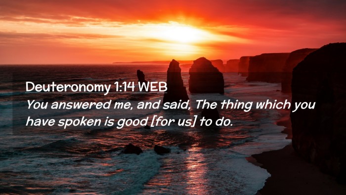 Picture 02 - Deuteronomy 1:14 WEB Desktop Wallpaper - You answered me, and said, The thing which you - Desktop Bible Verse Wallpaper