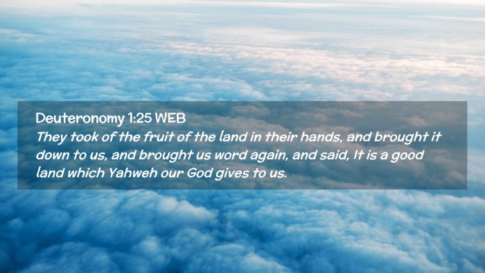 Picture 02 - Deuteronomy 1:25 WEB Desktop Wallpaper - They took of the fruit of the land in their - Desktop Bible Verse Wallpaper