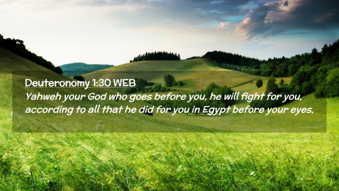 Picture 02 - Deuteronomy 1:30 WEB Desktop Wallpaper - Yahweh your God who goes before you, he will - Desktop Bible Verse Wallpaper