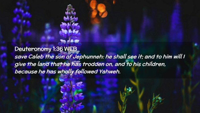 Picture 02 - Deuteronomy 1:36 WEB Desktop Wallpaper - save Caleb the son of Jephunneh: he shall see it; - Desktop Bible Verse Wallpaper
