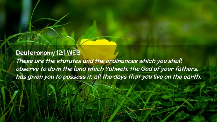 Picture 02 - Deuteronomy 12:1 WEB Desktop Wallpaper - These are the statutes and the ordinances which - Desktop Bible Verse Wallpaper