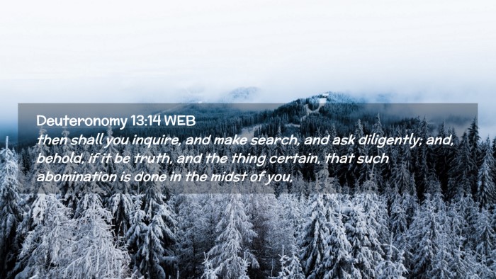 Picture 02 - Deuteronomy 13:14 WEB Desktop Wallpaper - then shall you inquire, and make search, and ask - Desktop Bible Verse Wallpaper