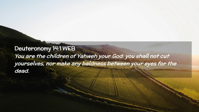 Picture 02 - Deuteronomy 14:1 WEB Desktop Wallpaper - You are the children of Yahweh your God: you - Desktop Bible Verse Wallpaper