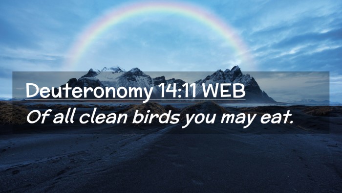 Picture 02 - Deuteronomy 14:11 WEB Desktop Wallpaper - Of all clean birds you may - Desktop Bible Verse Wallpaper