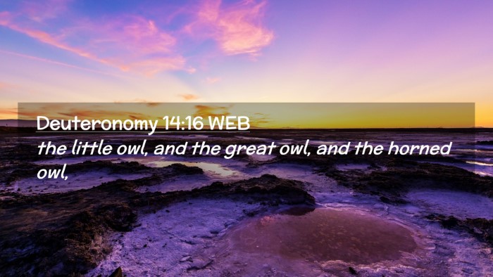 Picture 02 - Deuteronomy 14:16 WEB Desktop Wallpaper - the little owl, and the great owl, and the horned - Desktop Bible Verse Wallpaper