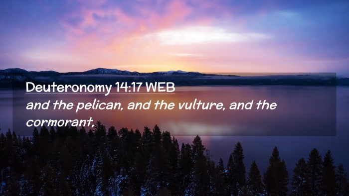 Picture 02 - Deuteronomy 14:17 WEB Desktop Wallpaper - and the pelican, and the vulture, and the - Desktop Bible Verse Wallpaper