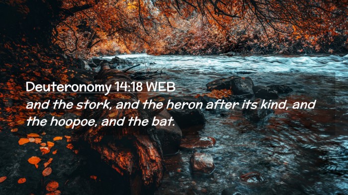 Picture 02 - Deuteronomy 14:18 WEB Desktop Wallpaper - and the stork, and the heron after its kind, and - Desktop Bible Verse Wallpaper