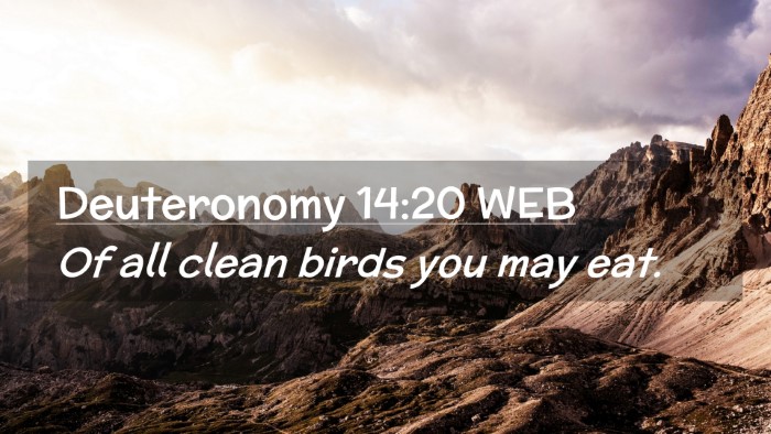 Picture 02 - Deuteronomy 14:20 WEB Desktop Wallpaper - Of all clean birds you may - Desktop Bible Verse Wallpaper