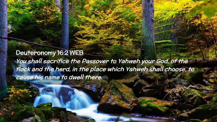 Picture 02 - Deuteronomy 16:2 WEB Desktop Wallpaper - You shall sacrifice the Passover to Yahweh your - Desktop Bible Verse Wallpaper