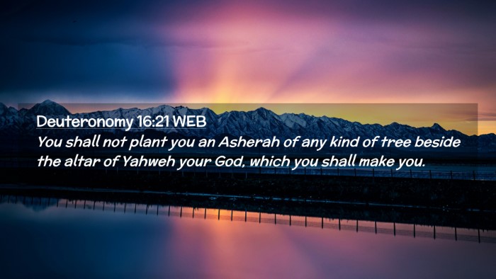 Picture 02 - Deuteronomy 16:21 WEB Desktop Wallpaper - You shall not plant you an Asherah of any kind of - Desktop Bible Verse Wallpaper