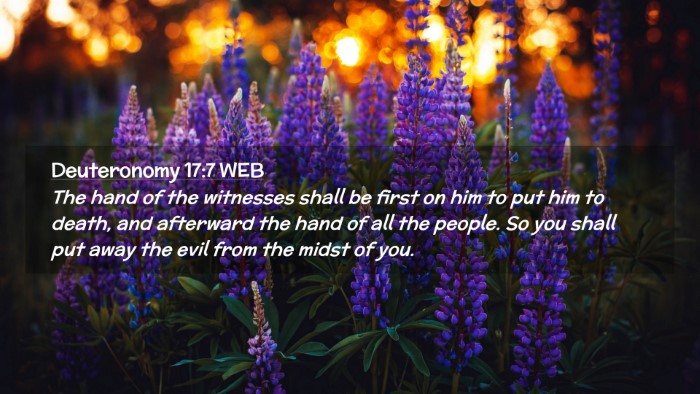 Picture 02 - Deuteronomy 17:7 WEB Desktop Wallpaper - The hand of the witnesses shall be first on him - Desktop Bible Verse Wallpaper