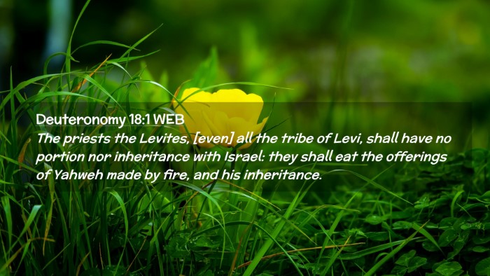 Picture 02 - Deuteronomy 18:1 WEB Desktop Wallpaper - The priests the Levites, [even] all the tribe of - Desktop Bible Verse Wallpaper