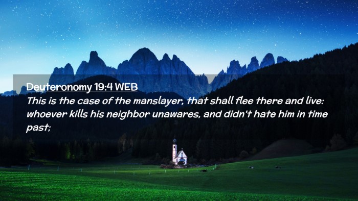 Picture 02 - Deuteronomy 19:4 WEB Desktop Wallpaper - This is the case of the manslayer, that shall - Desktop Bible Verse Wallpaper