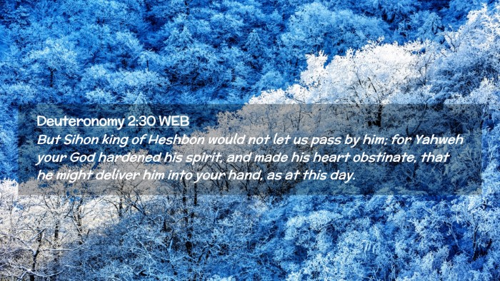 Picture 02 - Deuteronomy 2:30 WEB Desktop Wallpaper - But Sihon king of Heshbon would not let us pass - Desktop Bible Verse Wallpaper