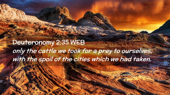 Picture 02 - Deuteronomy 2:35 WEB Desktop Wallpaper - only the cattle we took for a prey to ourselves, - Desktop Bible Verse Wallpaper