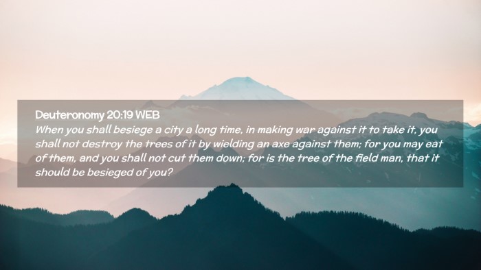 Picture 02 - Deuteronomy 20:19 WEB Desktop Wallpaper - When you shall besiege a city a long time, in - Desktop Bible Verse Wallpaper