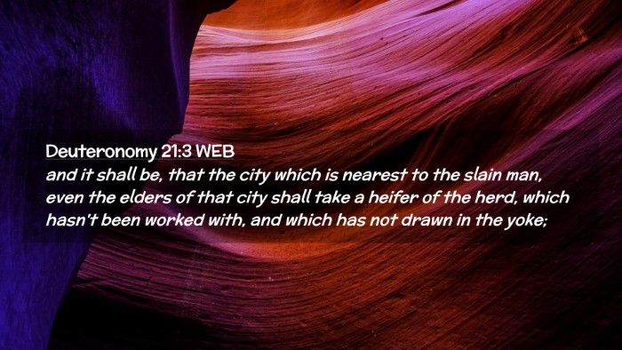 Picture 02 - Deuteronomy 21:3 WEB Desktop Wallpaper - and it shall be, that the city which is nearest - Desktop Bible Verse Wallpaper