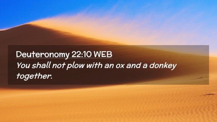 Picture 02 - Deuteronomy 22:10 WEB Desktop Wallpaper - You shall not plow with an ox and a donkey - Desktop Bible Verse Wallpaper