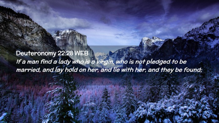 Picture 02 - Deuteronomy 22:28 WEB Desktop Wallpaper - If a man find a lady who is a virgin, who is not - Desktop Bible Verse Wallpaper