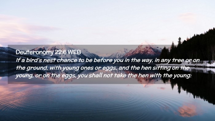 Picture 02 - Deuteronomy 22:6 WEB Desktop Wallpaper - If a bird's nest chance to be before you in the - Desktop Bible Verse Wallpaper