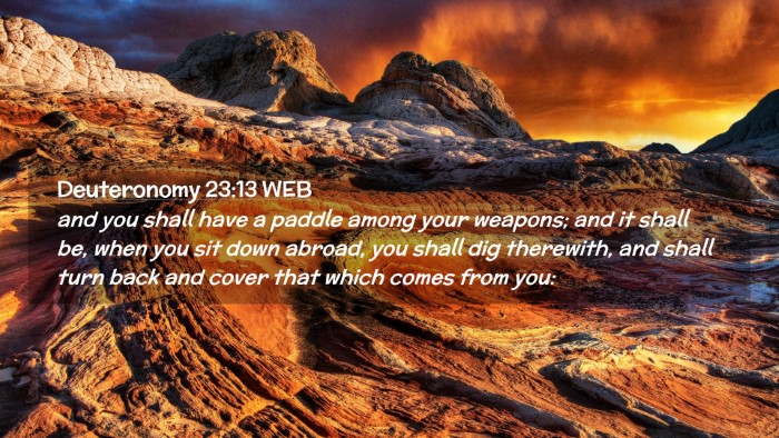 Picture 02 - Deuteronomy 23:13 WEB Desktop Wallpaper - and you shall have a paddle among your weapons; - Desktop Bible Verse Wallpaper