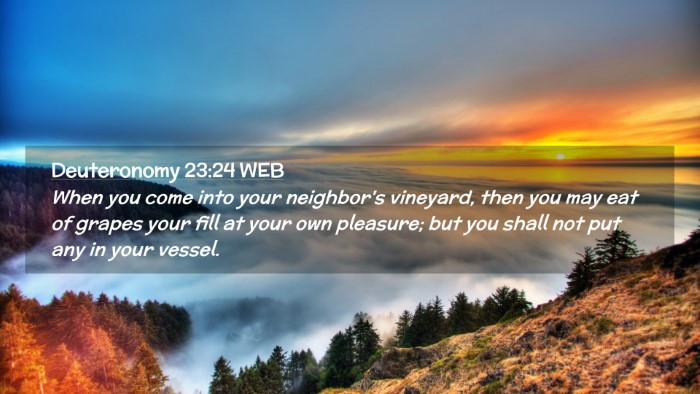 Picture 02 - Deuteronomy 23:24 WEB Desktop Wallpaper - When you come into your neighbor's vineyard, then - Desktop Bible Verse Wallpaper