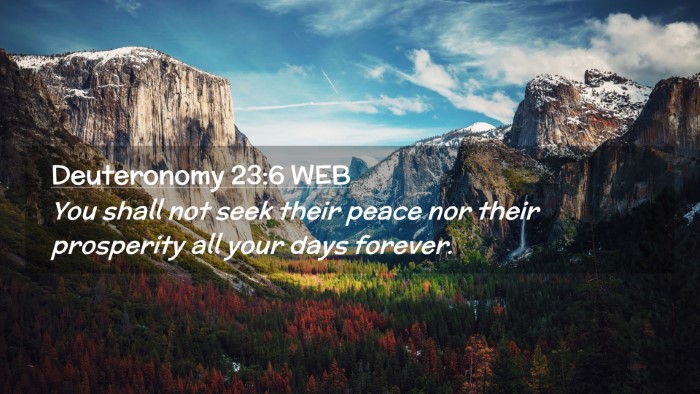 Picture 02 - Deuteronomy 23:6 WEB Desktop Wallpaper - You shall not seek their peace nor their - Desktop Bible Verse Wallpaper
