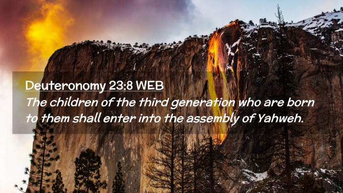 Picture 02 - Deuteronomy 23:8 WEB Desktop Wallpaper - The children of the third generation who are born - Desktop Bible Verse Wallpaper