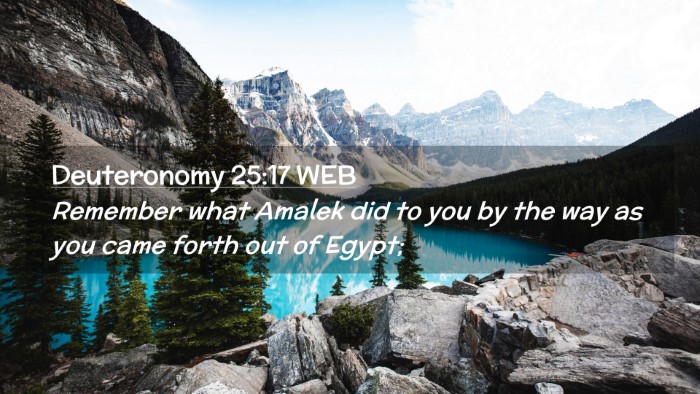 Picture 02 - Deuteronomy 25:17 WEB Desktop Wallpaper - Remember what Amalek did to you by the way as you - Desktop Bible Verse Wallpaper