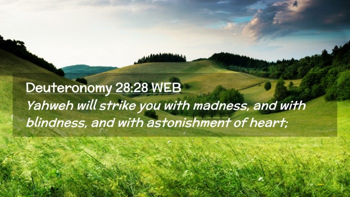 Picture 02 - Deuteronomy 28:28 WEB Desktop Wallpaper - Yahweh will strike you with madness, and with - Desktop Bible Verse Wallpaper