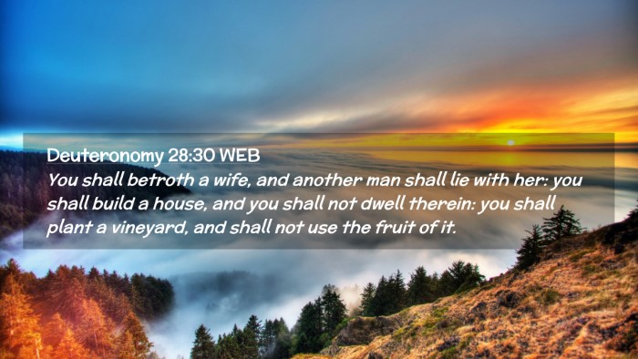 Picture 02 - Deuteronomy 28:30 WEB Desktop Wallpaper - You shall betroth a wife, and another man shall - Desktop Bible Verse Wallpaper