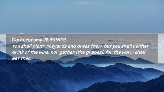 Picture 02 - Deuteronomy 28:39 WEB Desktop Wallpaper - You shall plant vineyards and dress them, but you - Desktop Bible Verse Wallpaper