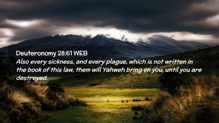 Picture 02 - Deuteronomy 28:61 WEB Desktop Wallpaper - Also every sickness, and every plague, which is - Desktop Bible Verse Wallpaper