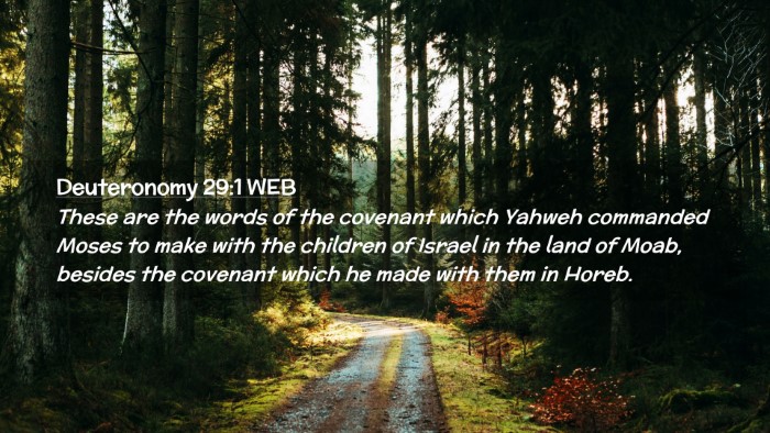 Picture 02 - Deuteronomy 29:1 WEB Desktop Wallpaper - These are the words of the covenant which Yahweh - Desktop Bible Verse Wallpaper