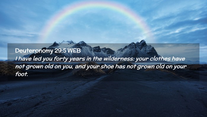Picture 02 - Deuteronomy 29:5 WEB Desktop Wallpaper - I have led you forty years in the wilderness: - Desktop Bible Verse Wallpaper