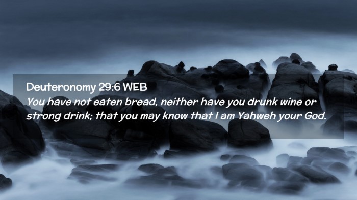 Picture 02 - Deuteronomy 29:6 WEB Desktop Wallpaper - You have not eaten bread, neither have you drunk - Desktop Bible Verse Wallpaper