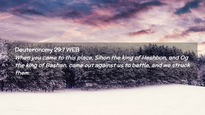 Picture 02 - Deuteronomy 29:7 WEB Desktop Wallpaper - When you came to this place, Sihon the king of - Desktop Bible Verse Wallpaper